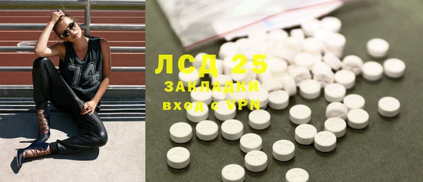 сатива Иннополис