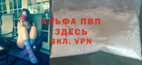 сатива Иннополис