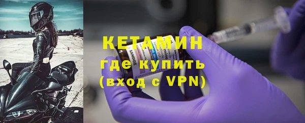 стаф Инта