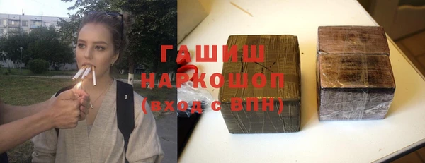 стаф Инта