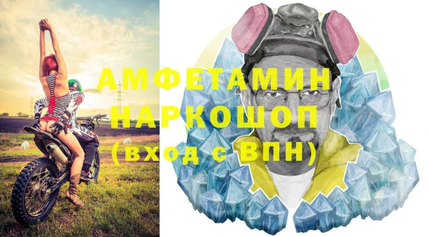 стаф Инта