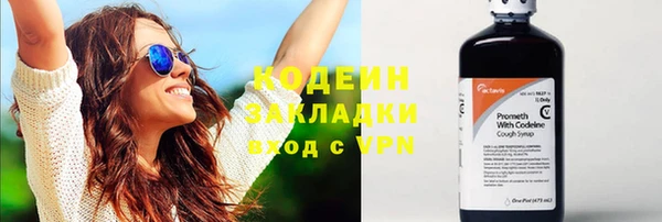 сатива Иннополис