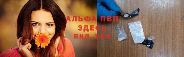 мет Инсар