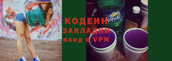сатива Иннополис