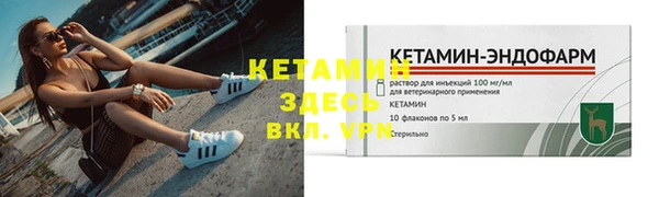 стаф Инта