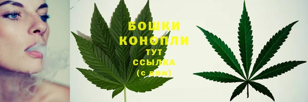 мет Инсар