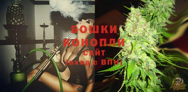 стаф Инта