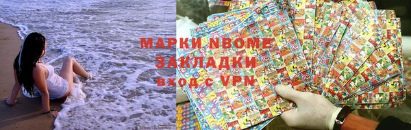 стаф Инта