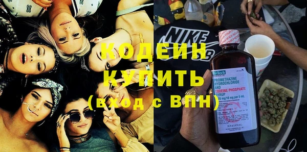 стаф Инта