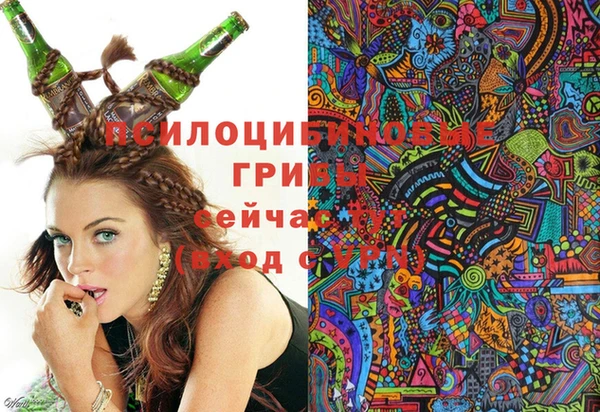 стаф Инта