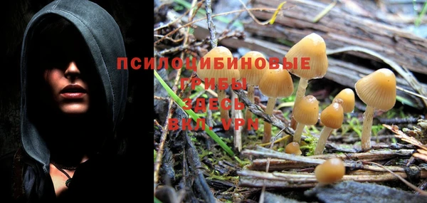 сатива Иннополис