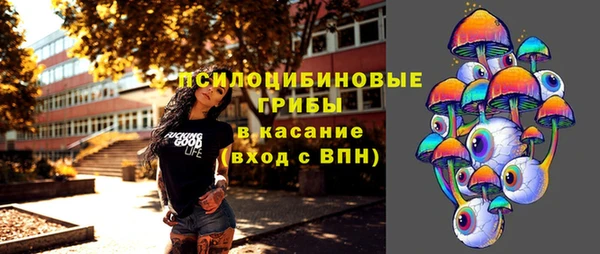 сатива Иннополис