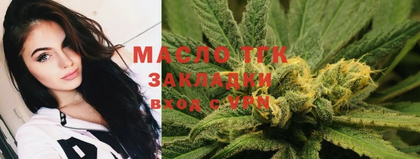 сатива Иннополис