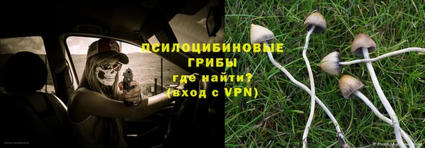 стаф Инта