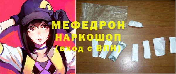стаф Инта