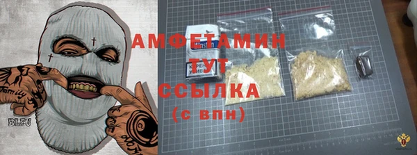 мет Инсар