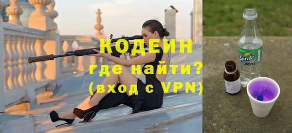 стаф Инта