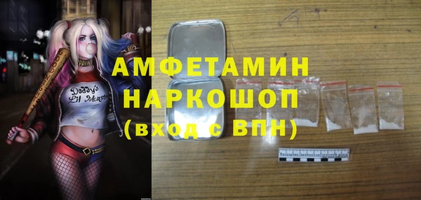стаф Инта