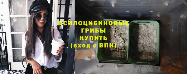 мет Инсар