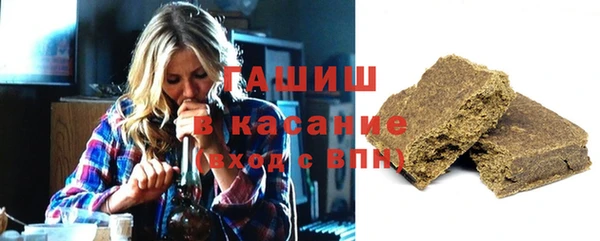 стаф Инта